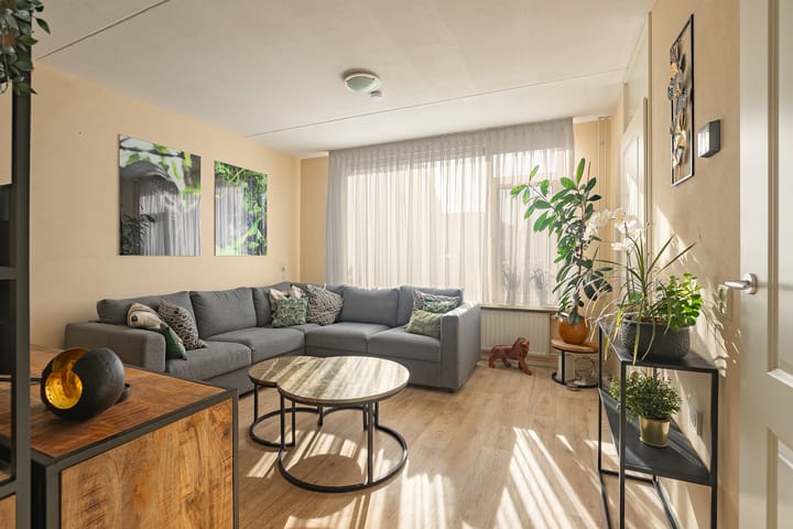 Photo 2 of Sterappel 29