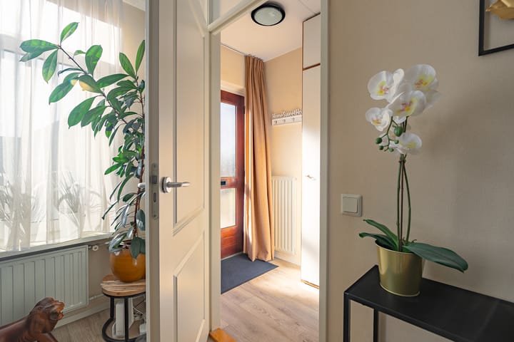 Photo 4 of Sterappel 29