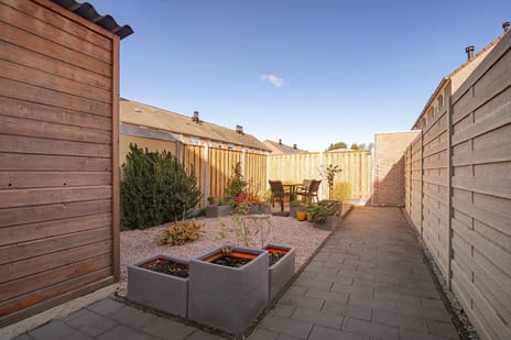 Sterappel 29 tertiary image