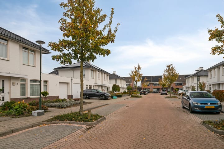 Foto 30 van Everarduspad 3