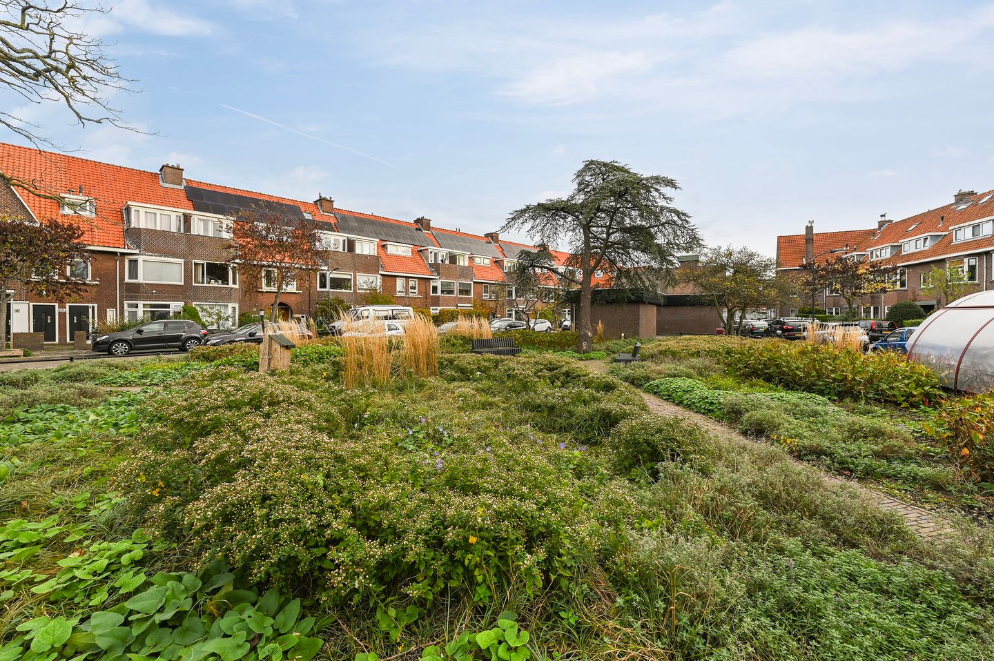 Foto 5 van van Halewijnplein 20