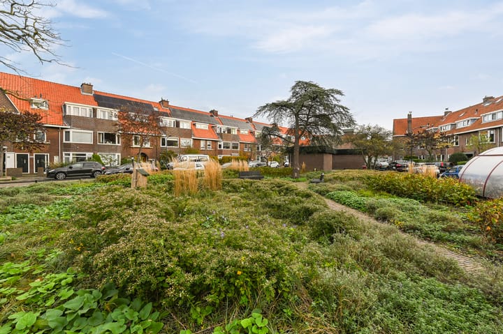 Foto 5 van van Halewijnplein 20