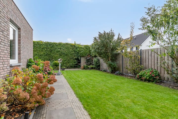 Photo 42 of Boekweit 45