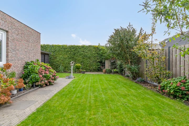 Photo 43 of Boekweit 45