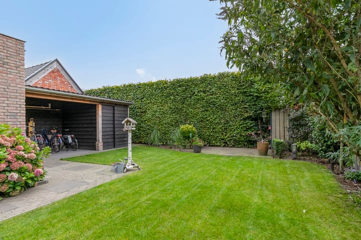 Photo 44 of Boekweit 45