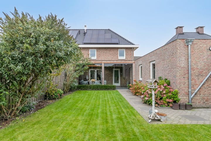 Photo 45 of Boekweit 45