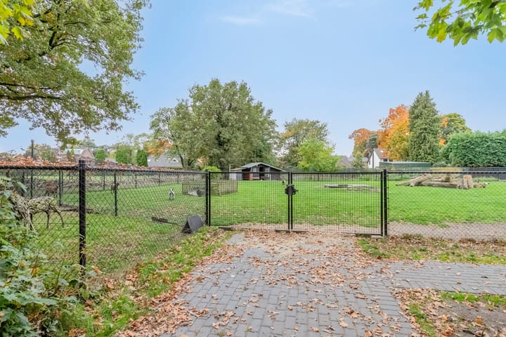 Photo 52 of Boekweit 45