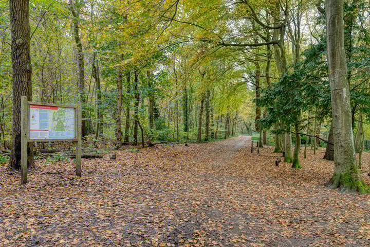 Foto 60 van Koningsduin 63