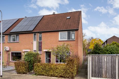 undefined main image