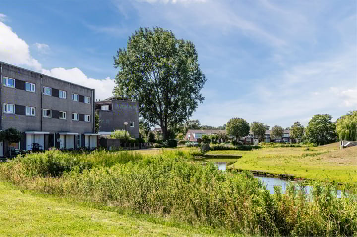 Photo 51 of Maerten van Heemskerckstraat 183