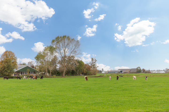 Photo 57 of Hoofdweg 31