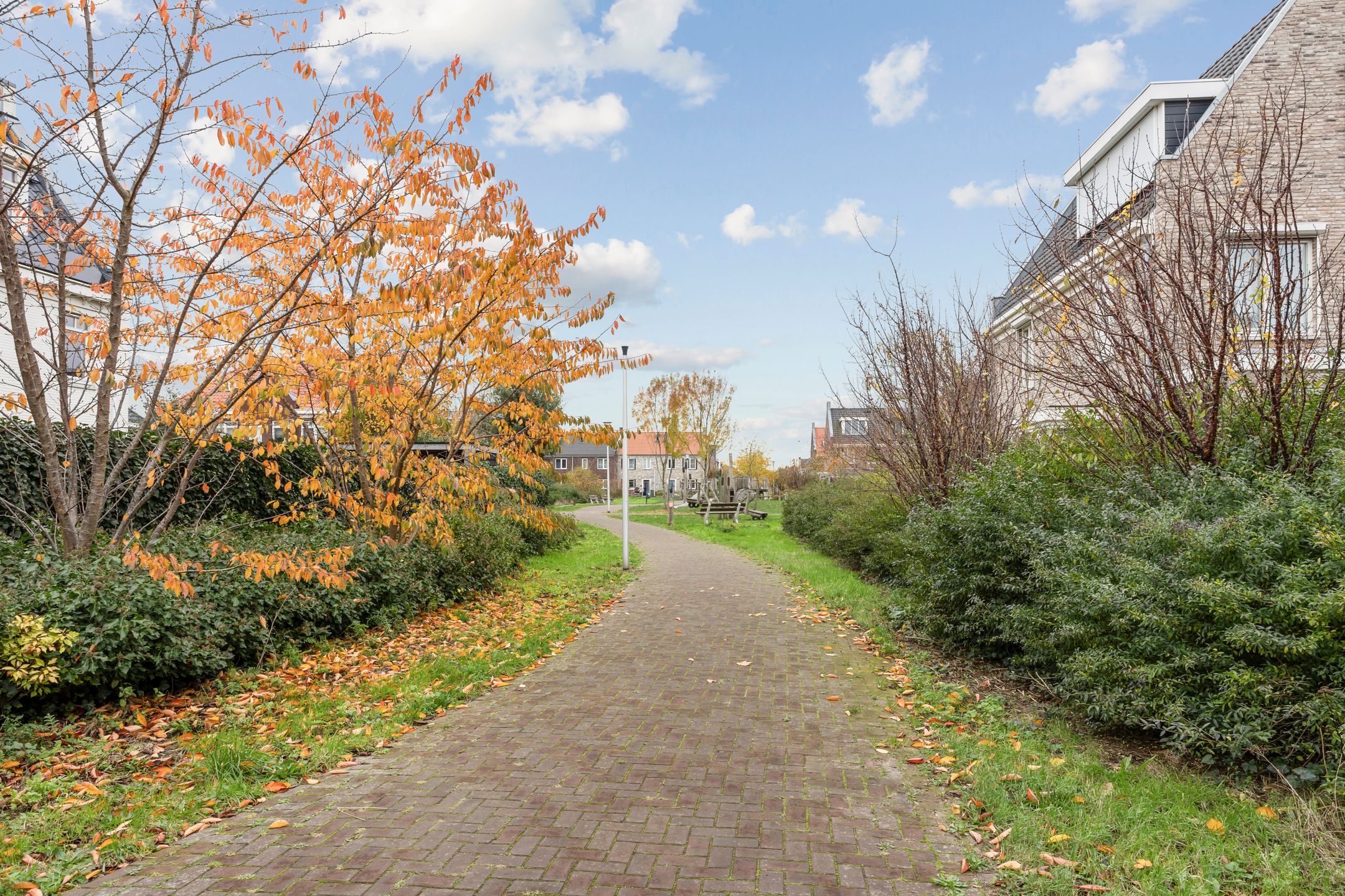 Photo 27 of Colorado 57