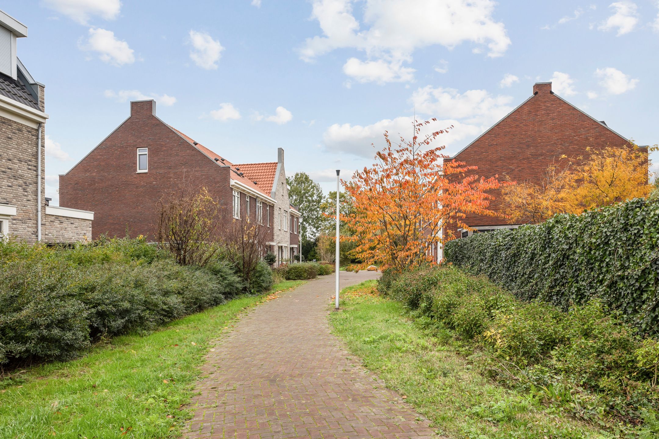 Photo 30 of Colorado 57