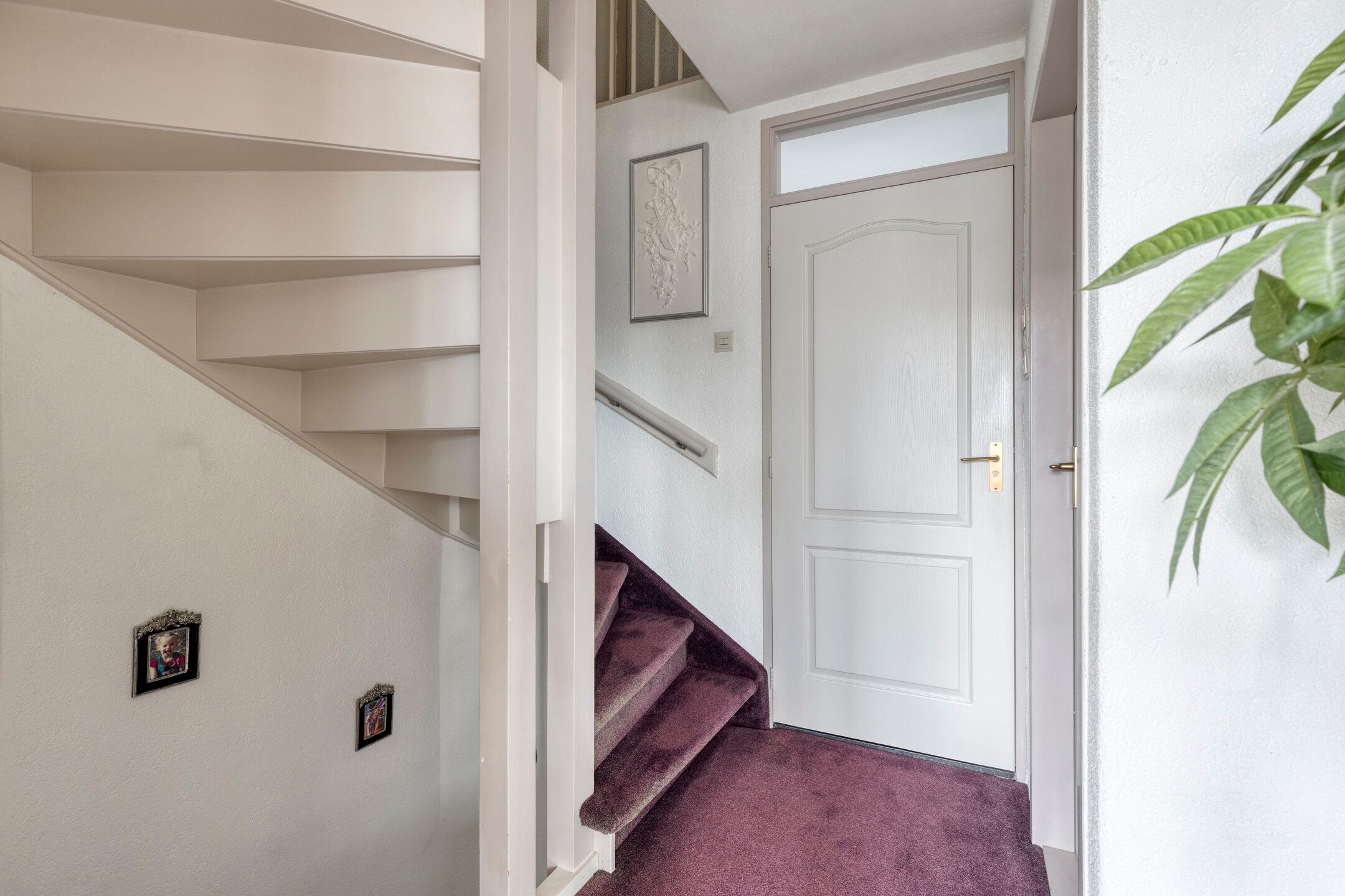 Foto 24 van Koffiebos 3