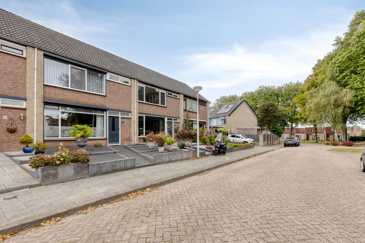 Photo 48 of Koffiebos 3