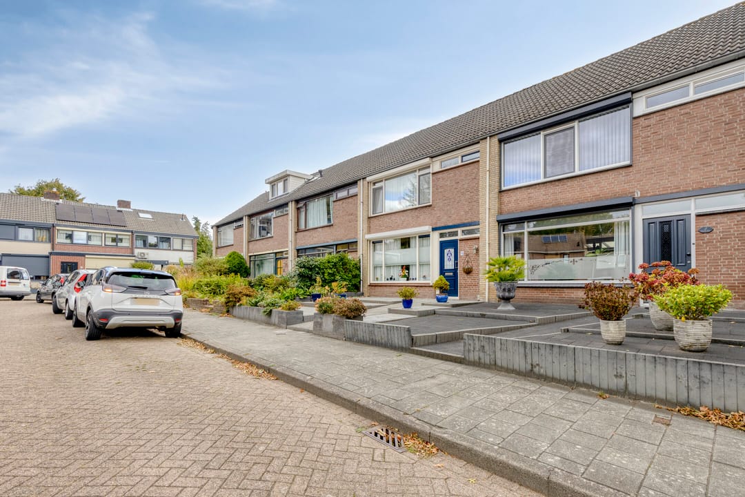 Foto 47 van Koffiebos 3