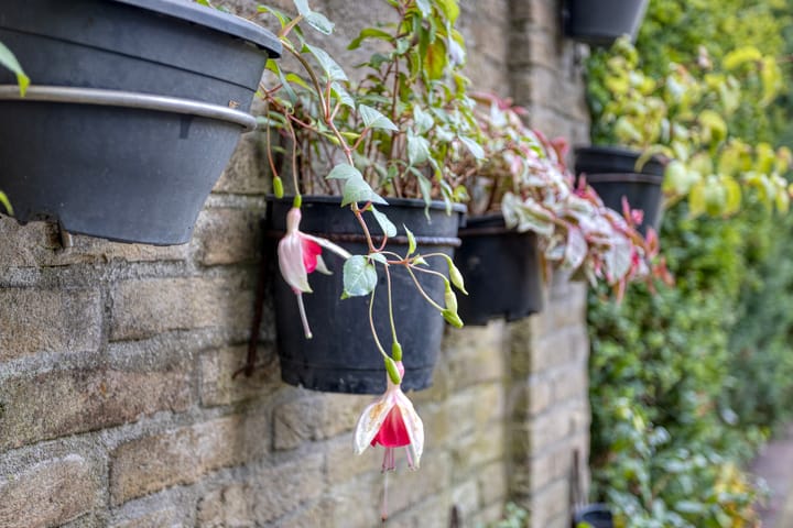 Foto 39 van Mendelssohnplein 4