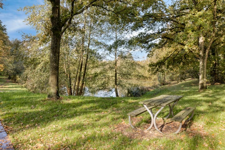 Foto 46 van Mendelssohnplein 4