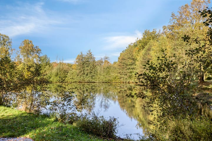 Foto 47 van Mendelssohnplein 4