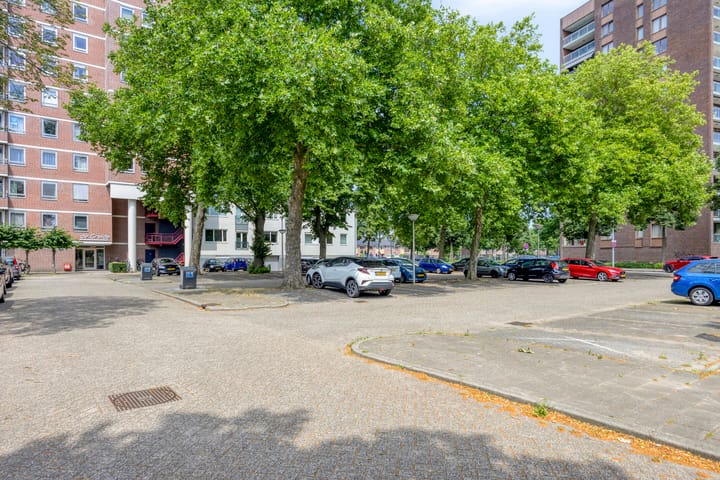 Photo 29 of de Greide 37