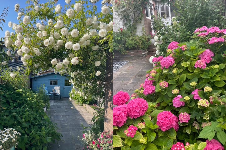 Foto 67 van Karekietstraat 76