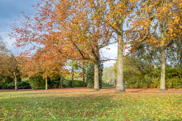 Photo 29 of Europalaan 27