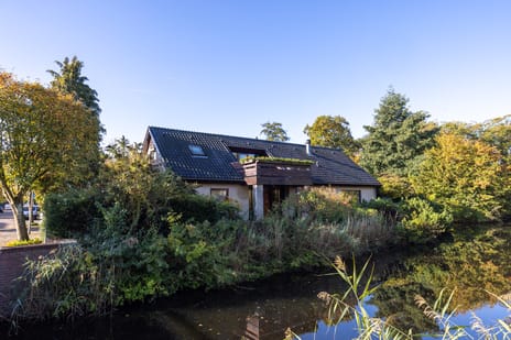 Manegelaantje thumbnail