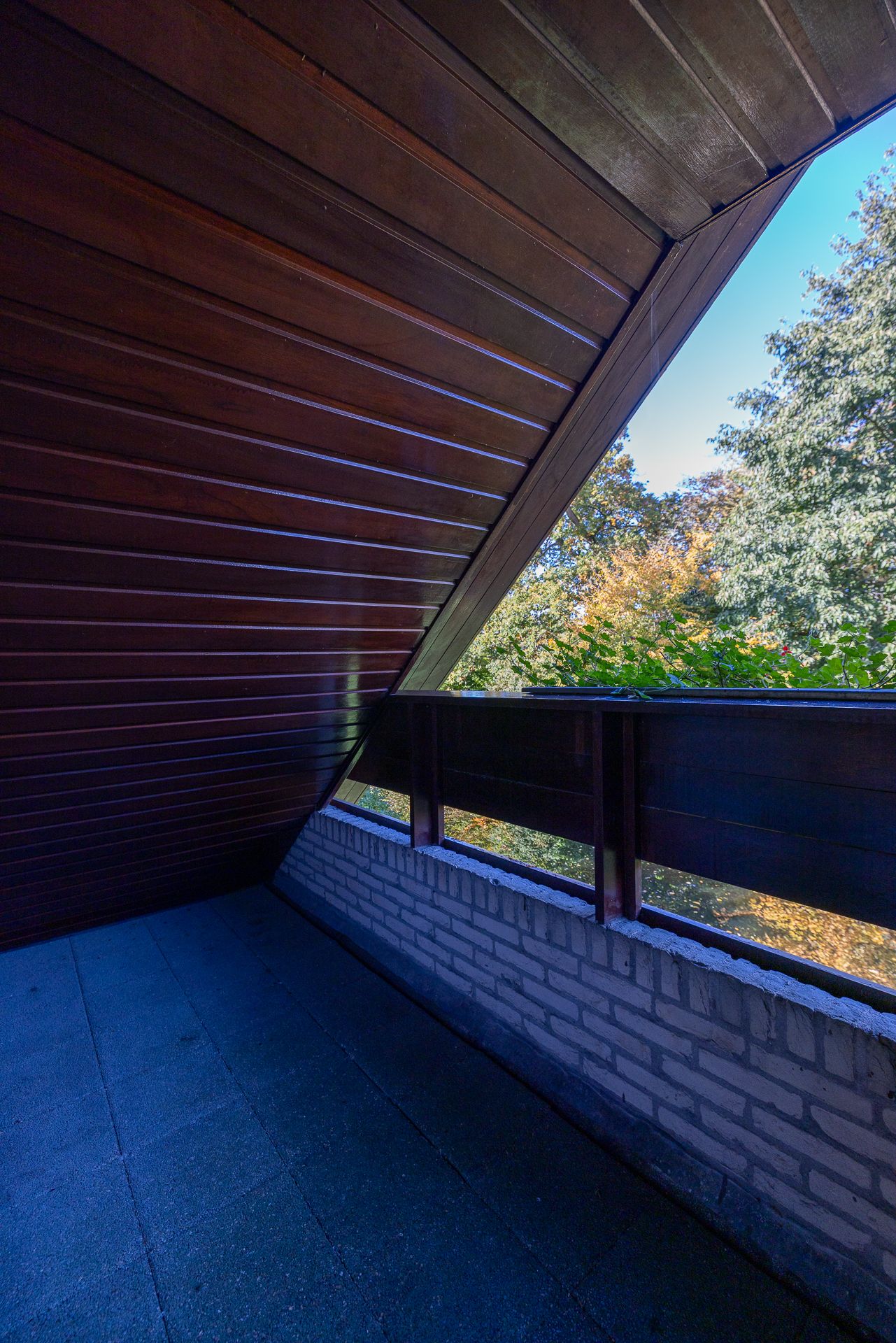 Foto 36 van Manegelaantje 1