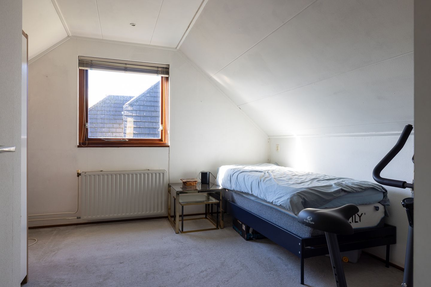 Foto 40 van Manegelaantje 1