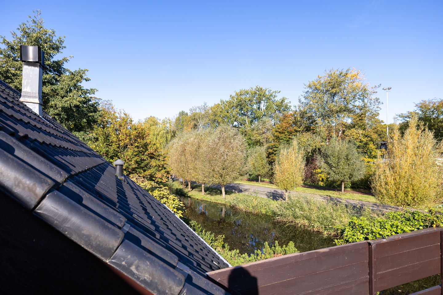 Foto 44 van Manegelaantje 1