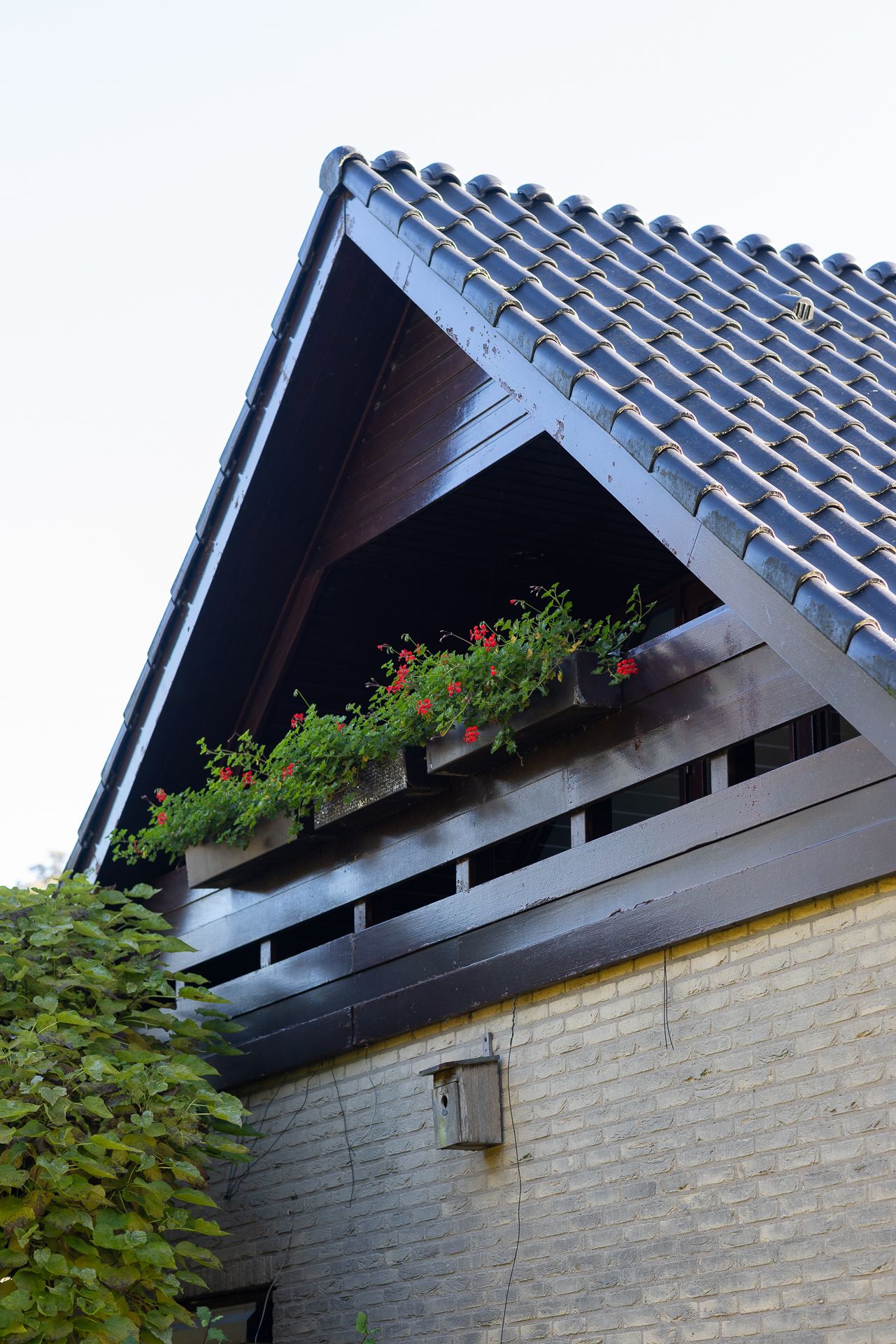 Foto 48 van Manegelaantje 1