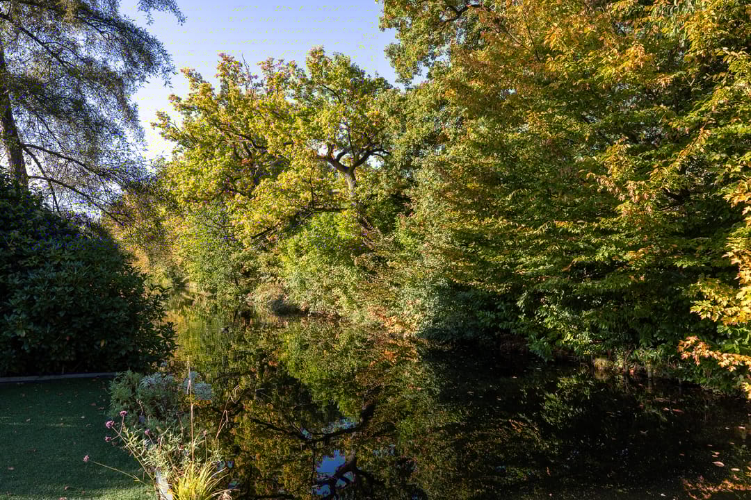 Foto 56 van Manegelaantje 1