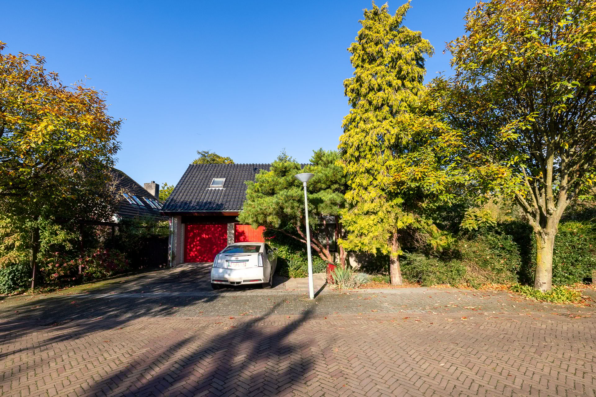 Foto 57 van Manegelaantje 1