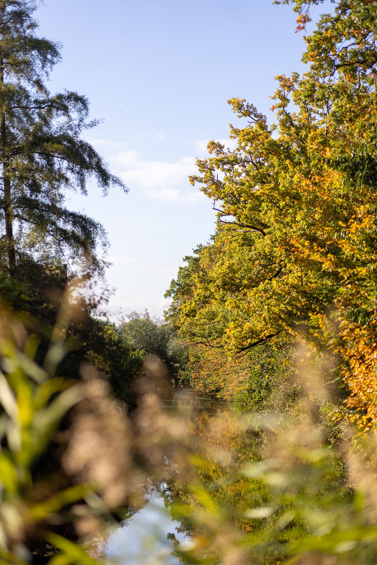 Foto 60 van Manegelaantje 1