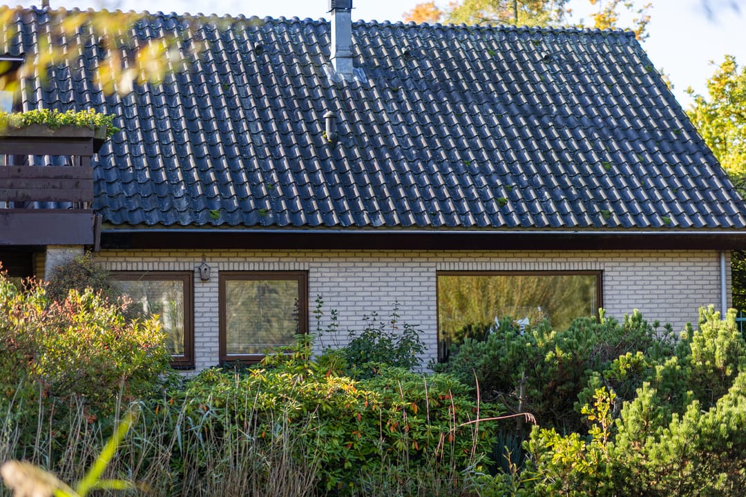 Foto 61 van Manegelaantje 1