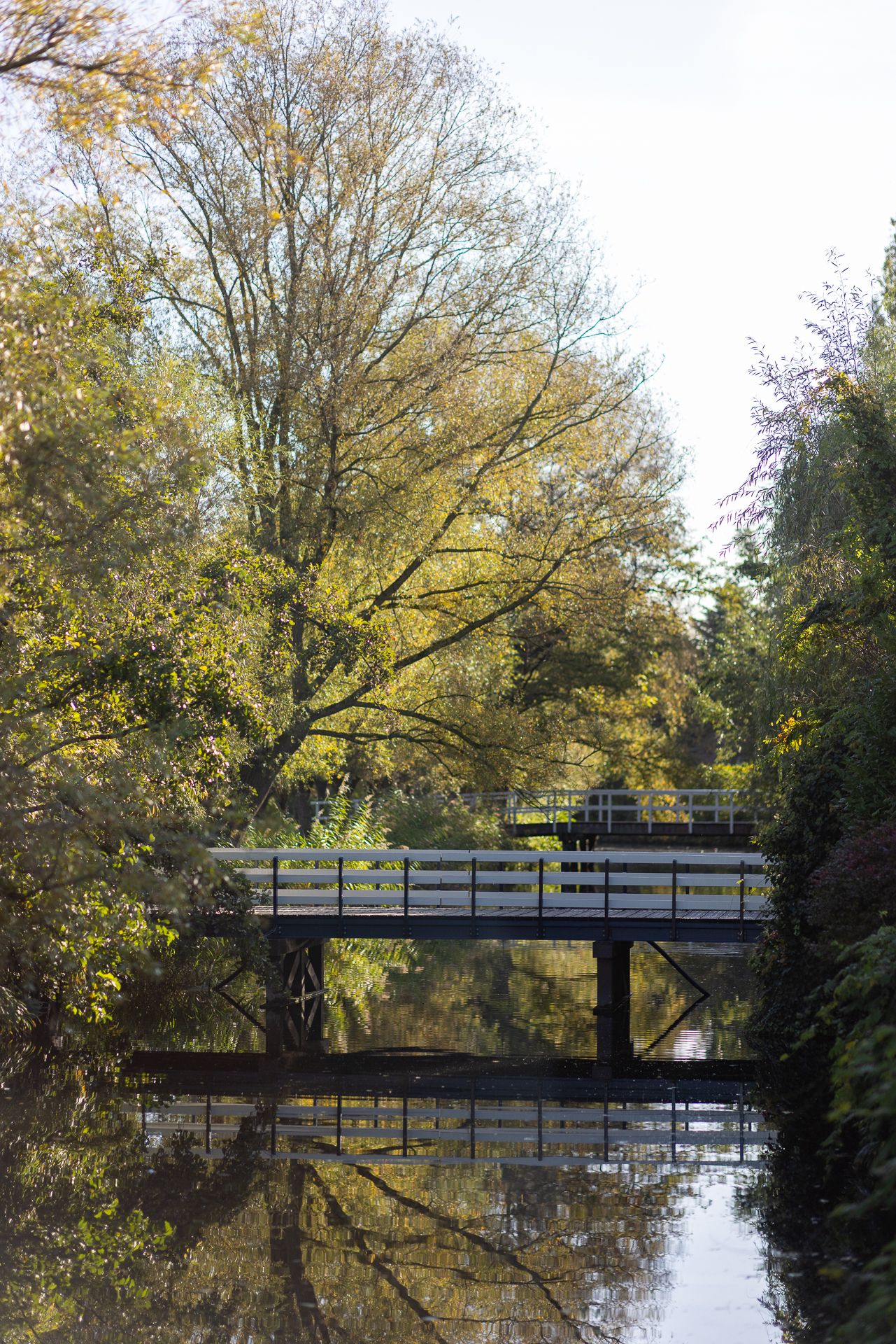 Foto 63 van Manegelaantje 1