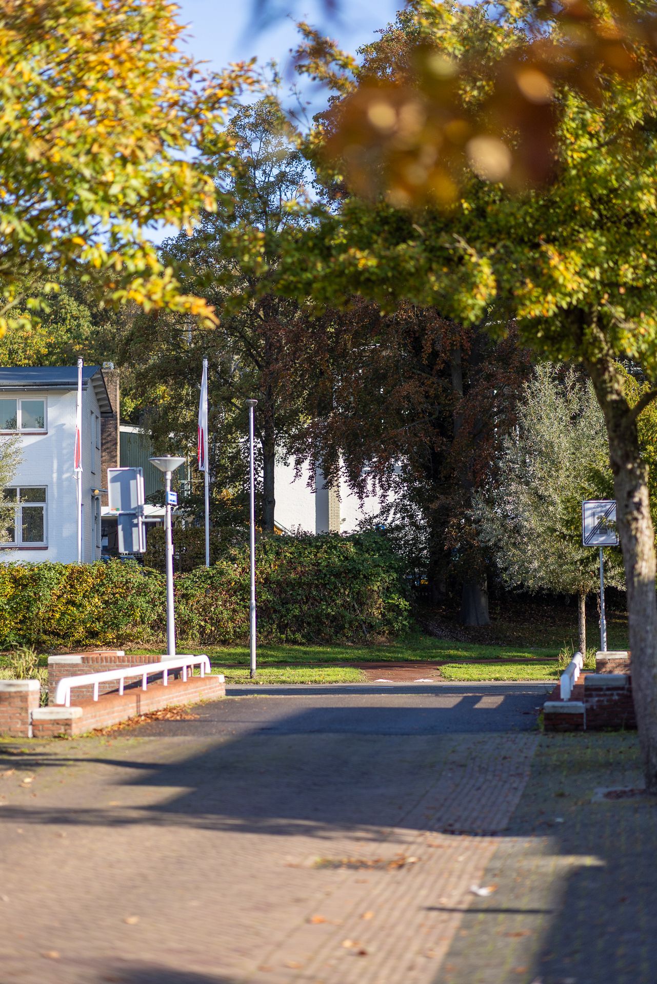 Foto 64 van Manegelaantje 1