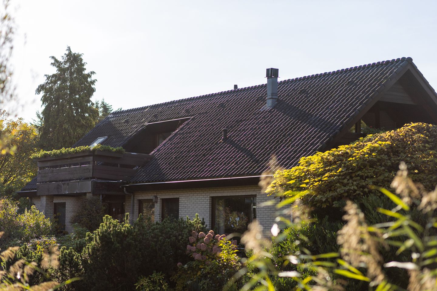 Foto 65 van Manegelaantje 1