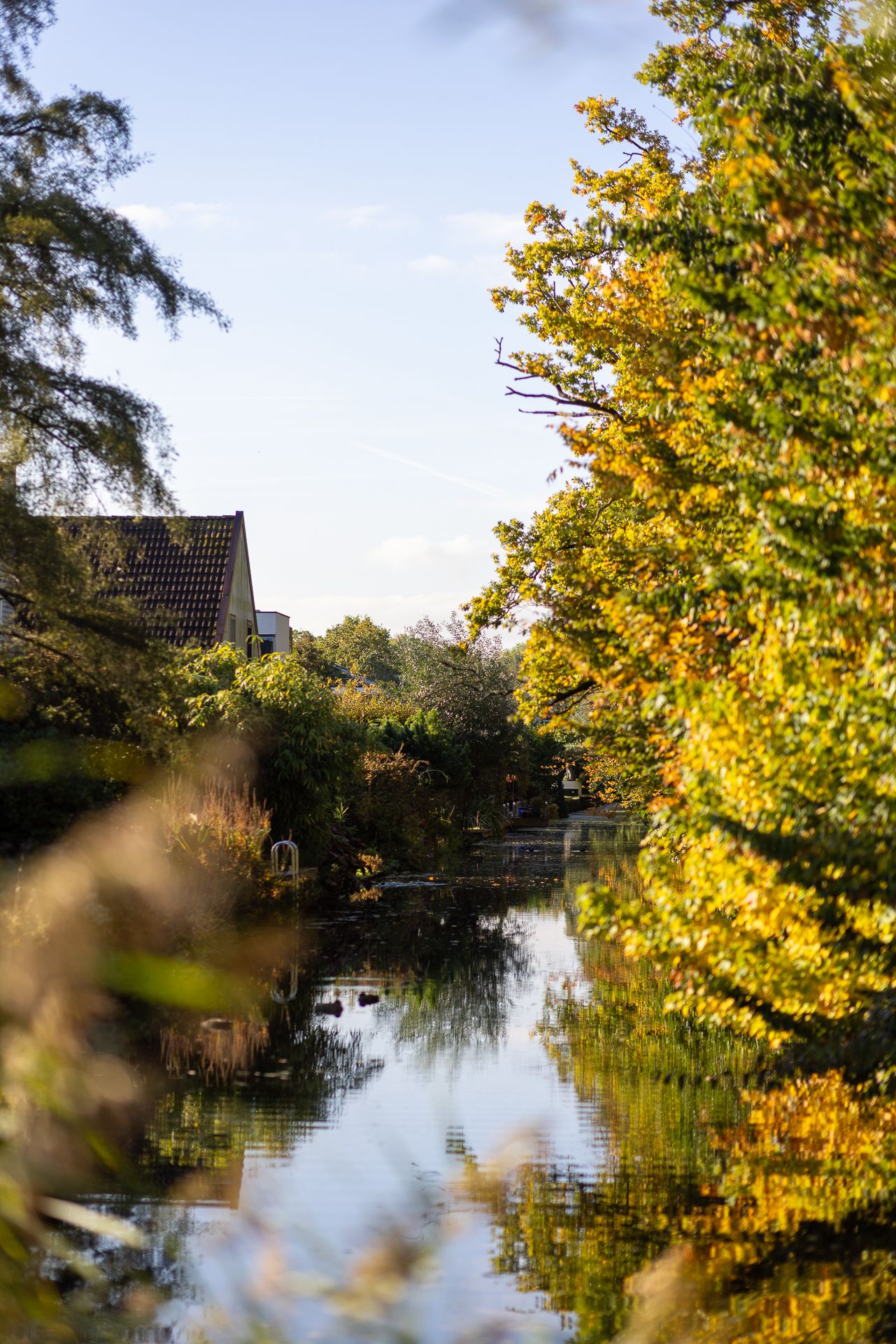 Foto 66 van Manegelaantje 1