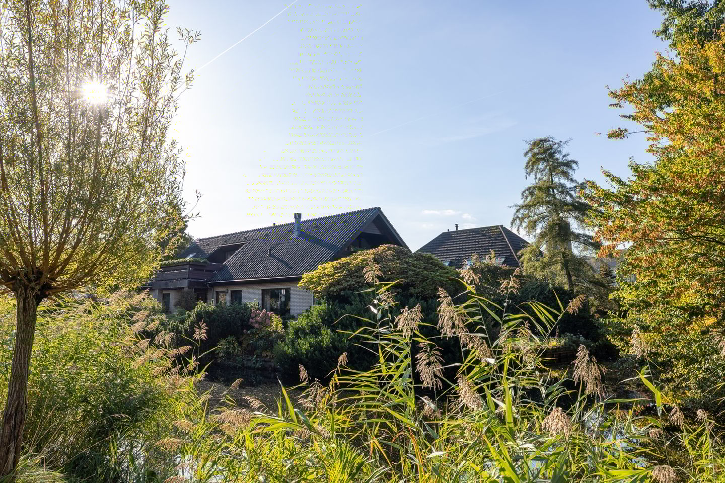 Foto 59 van Manegelaantje 1