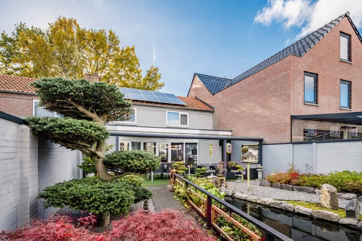 Photo 27 of Wildpleintje 45