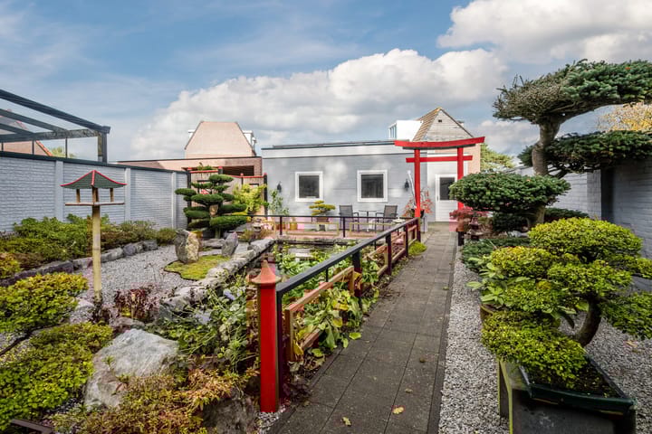 Photo 33 of Wildpleintje 45