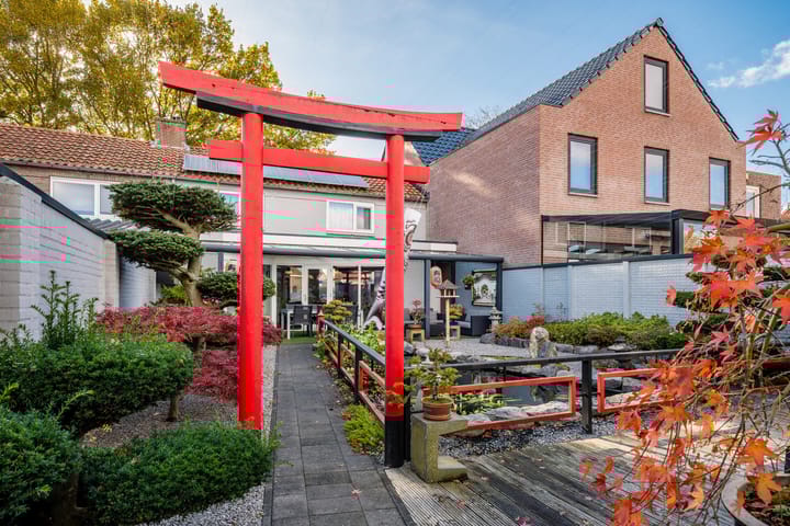 Photo 35 of Wildpleintje 45