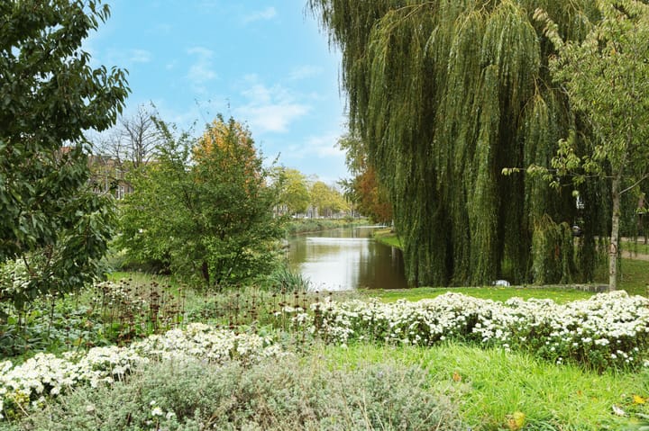 Foto 46 van Van Blommesteynweg 43