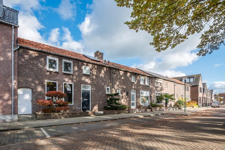 Photo 43 of Wildpleintje 45