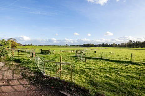 Pasop 10 tertiary image