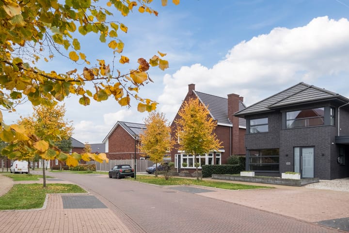 Foto 45 van Fliere 54