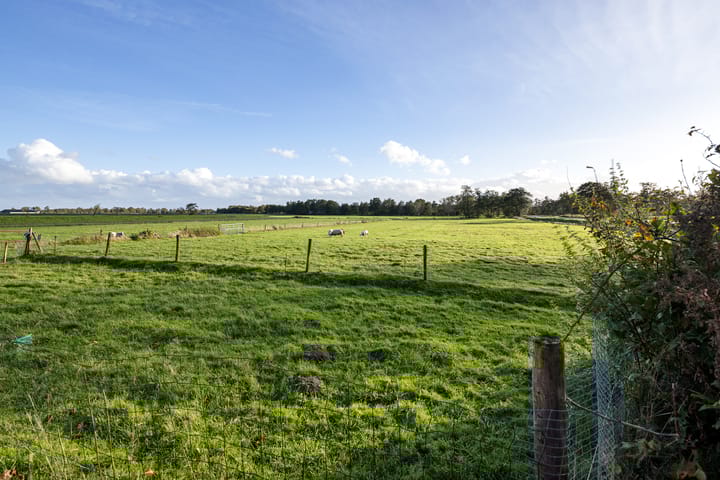 Foto 41 van Pasop 10