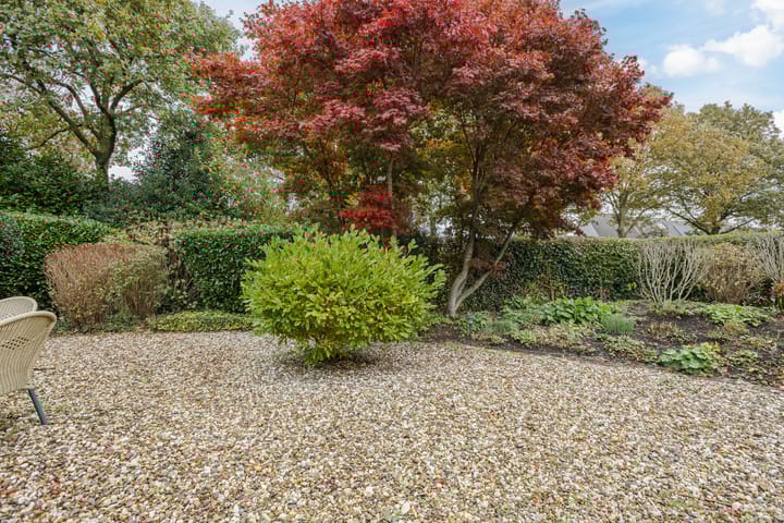 Foto 57 van Witbol 2