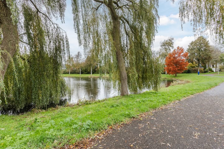 Foto 60 van Witbol 2